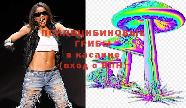 а пвп мука Дмитриев