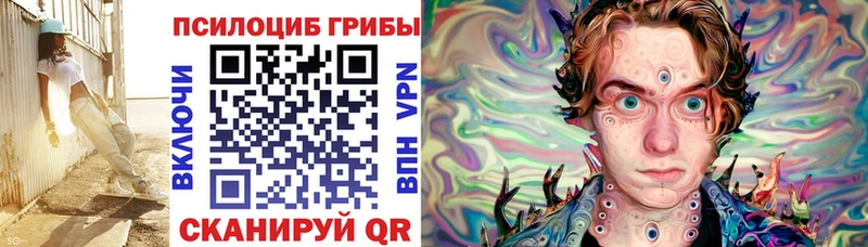 Галлюциногенные грибы Psilocybine cubensis  как найти закладки  Подольск 